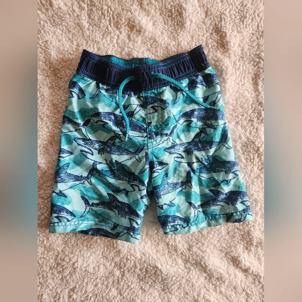 Swim Trunks - Picture 1 of 3